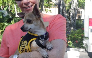 third street south pet adoption - Humane Society